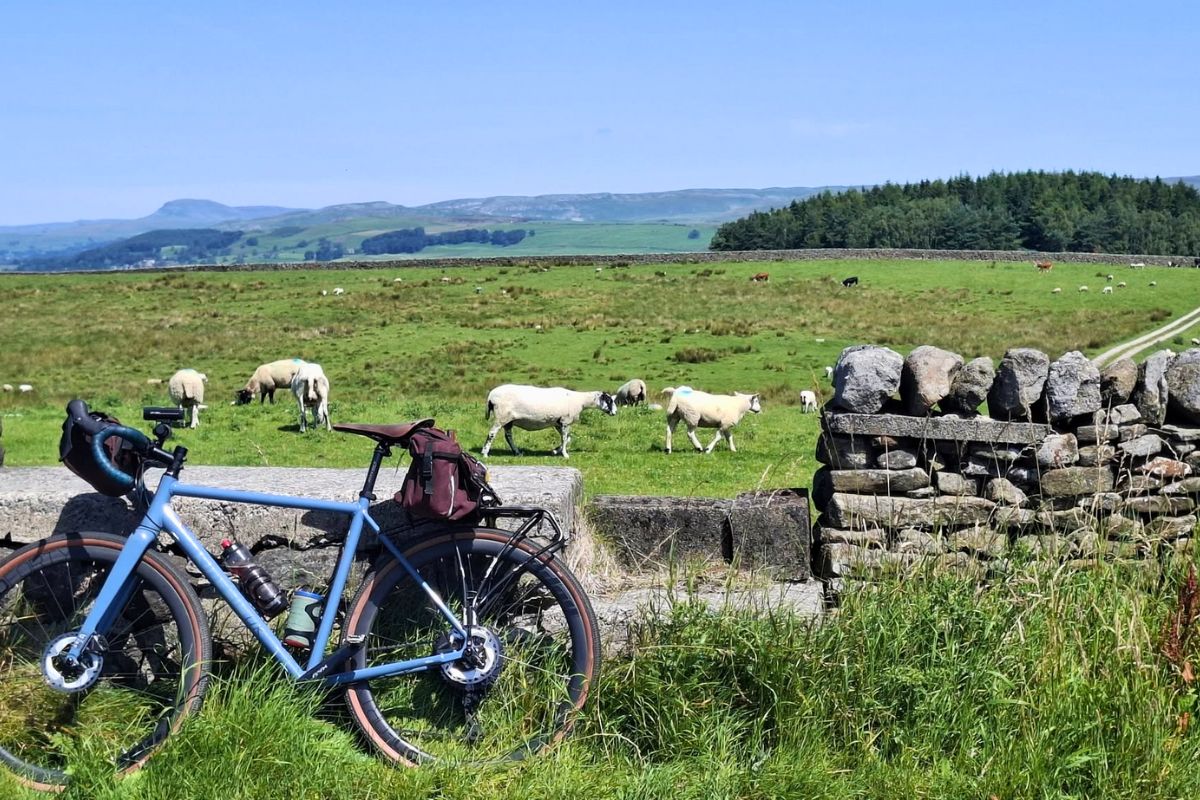 11 of our Favourite Carradice Setups (and Rides) from 2025